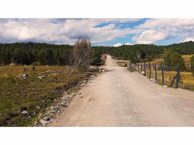Proyecto en Verde BOSQUE DEL RIO – Puerto Varas