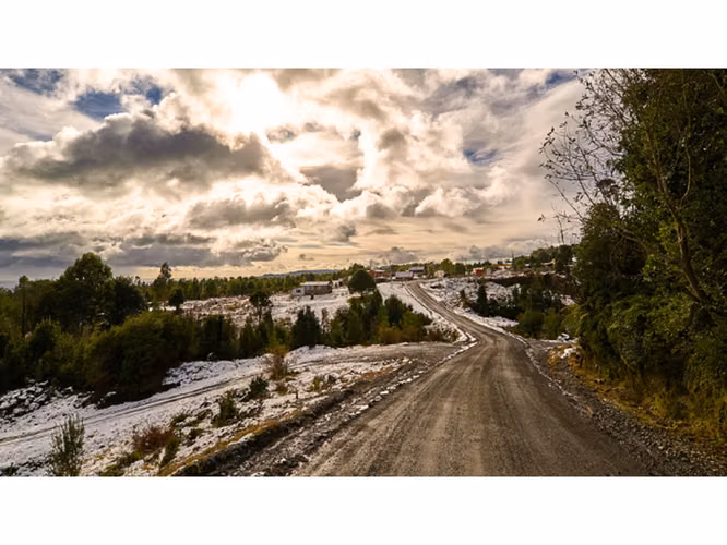 Proyecto en Verde BOSQUE DEL RIO – Puerto Varas