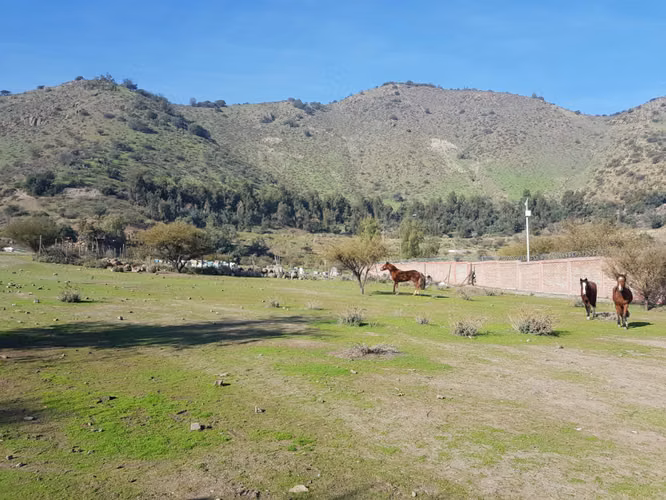 Venta Terreno 2.500 m2 - La Florida