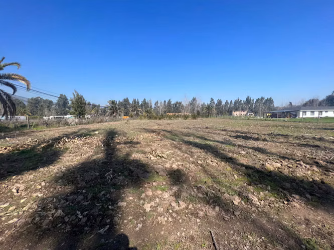 Venta Terreno 5.000 m2 - Talagante