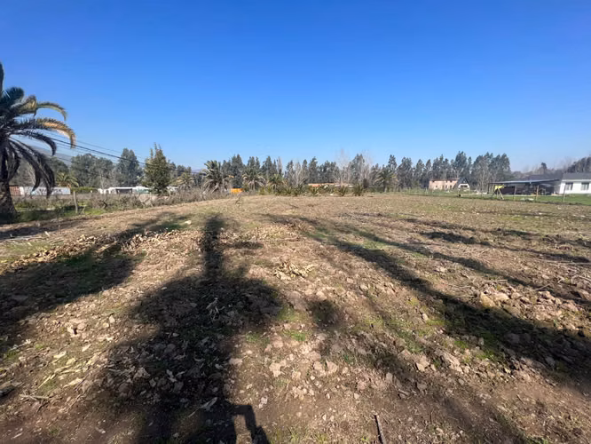 Venta Terreno 5.000 m2 - Talagante