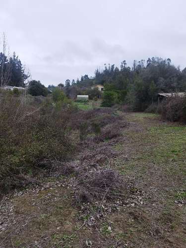 Terreno Pupuya centro - Imagen 8