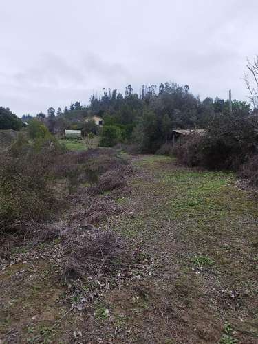 Terreno Pupuya centro - Imagen 7