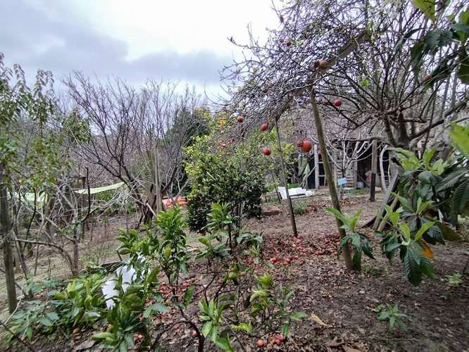 Terreno Pupuya centro - Imagen 12
