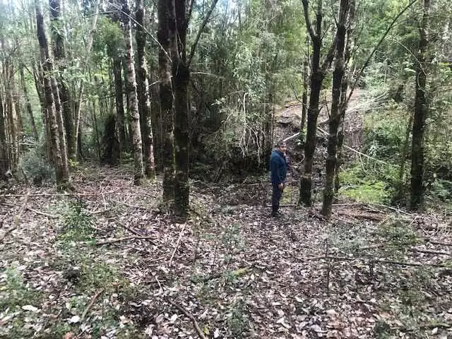Queilen, 2,8 Ha, Apeche Bajo (121069)
