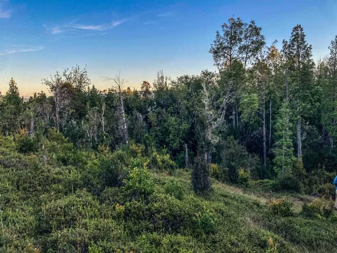 Queilen, 2,8 Ha, Apeche Bajo (121069)