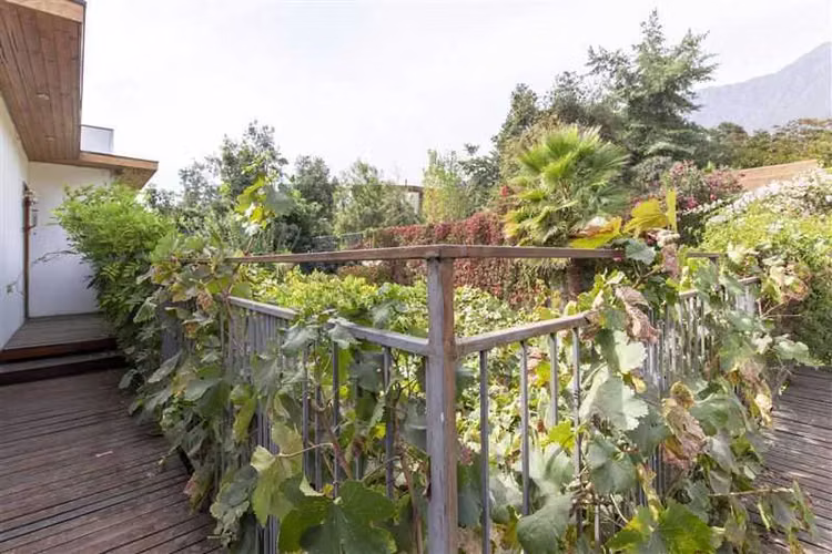 Condominio Talinay 5D 4B  (114890)
