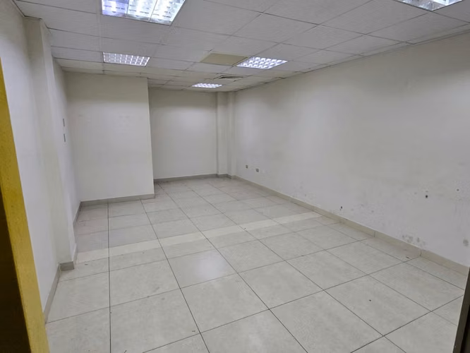 Local 715m2 Concepción centro
