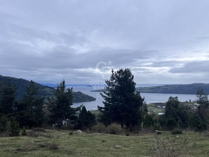 Campo con Vista Privilegiada | Futrono