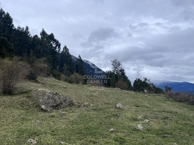 Campo con Vista Privilegiada | Futrono