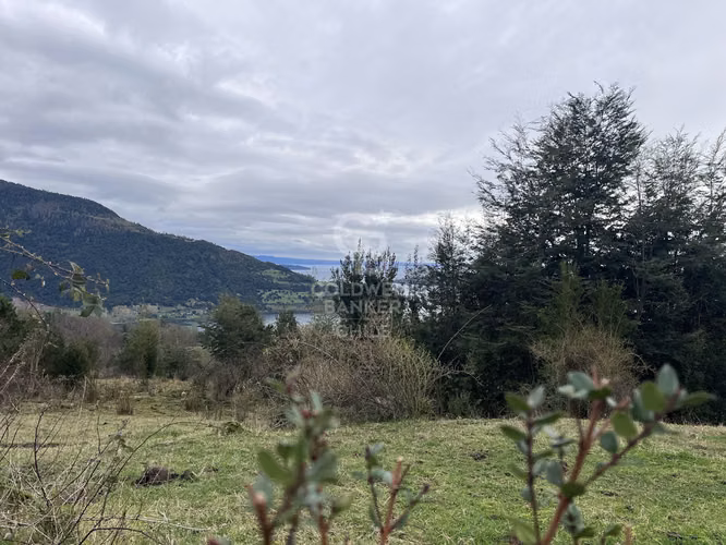Campo con Vista Privilegiada | Futrono