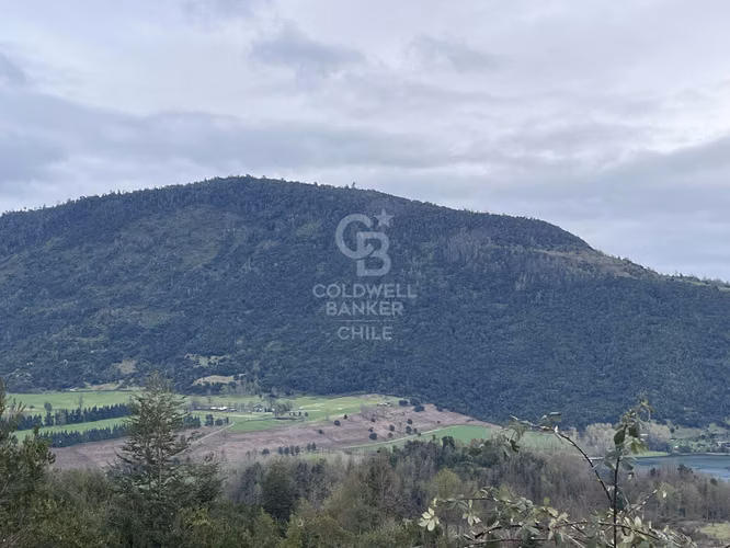 Parcela en Quimán: Vistas al Lago Ranco y Volcanes.