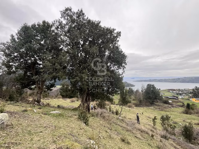 Parcela en Quimán: Vistas al Lago Ranco y Volcanes.