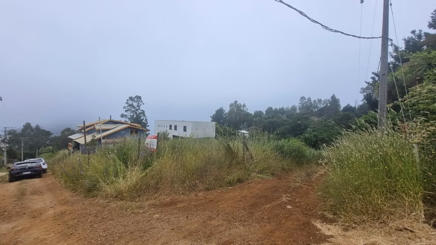 VENDE SITIO MORROS DE COLIUMO