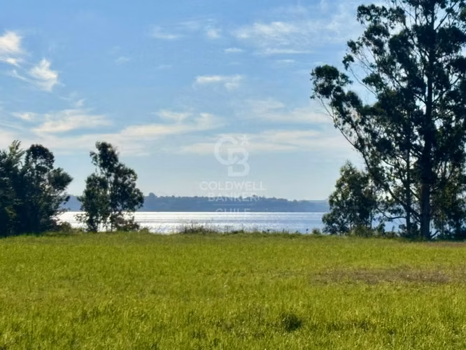 Kilometro 8 | Al lado del Lago con vista despejada.