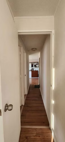 Hermoso departamento Valparaíso (121734)