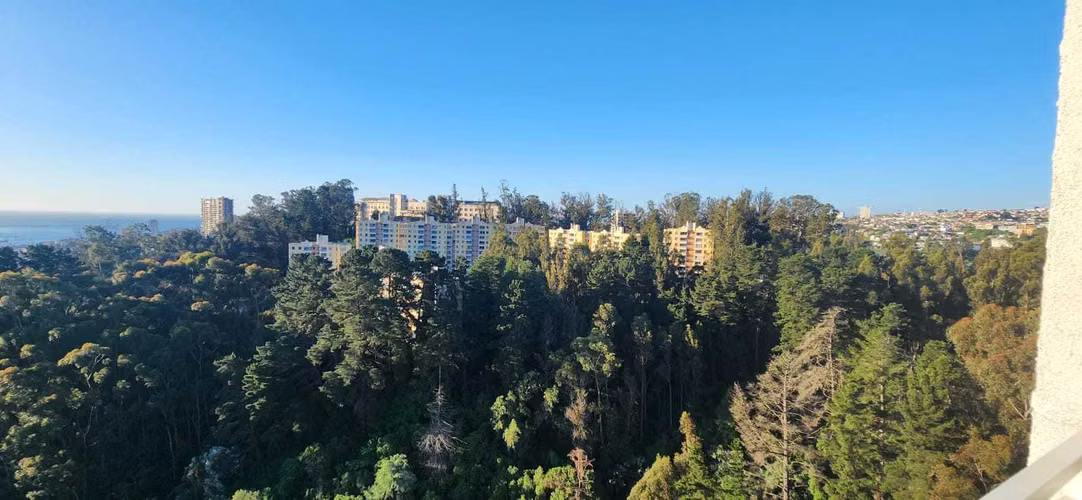 Hermoso departamento Valparaíso (121734)