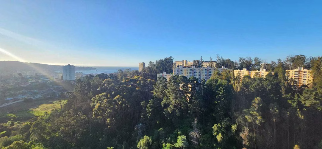 Hermoso departamento Valparaíso (121734)