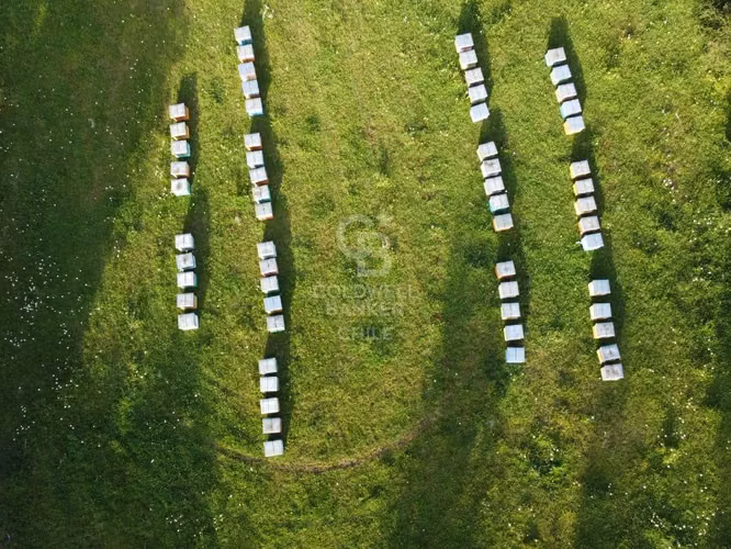 Fundo 215 ha, ideal para turismo o producción ganadera.