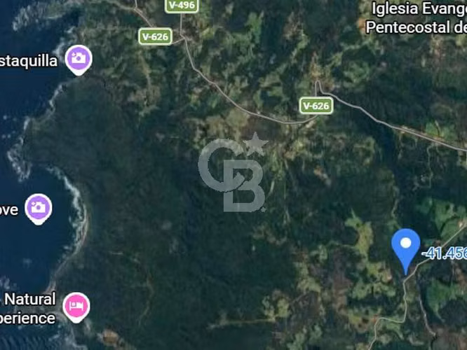 Fundo 215 ha, ideal para turismo o producción ganadera.