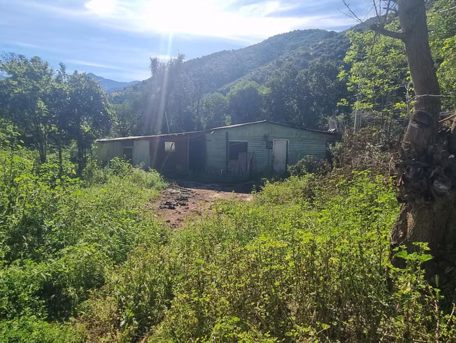 Terreno en Lo Castro, Quebrada Alvarado Olmué (122019)