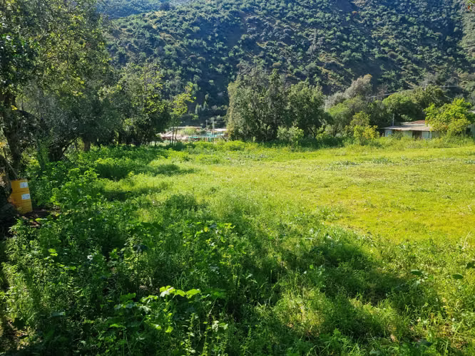 Terreno en Lo Castro, Quebrada Alvarado Olmué (122019)