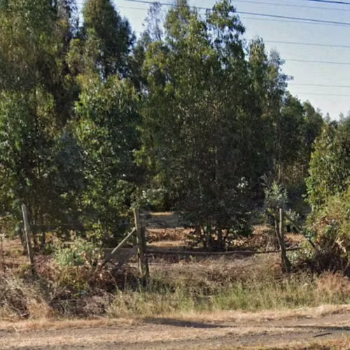 2 Ha Agrícola al Lado de la 5 Sur en Maule (122132)