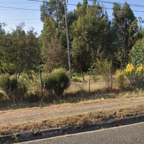 2 Ha Agrícola con Excelente Ubicación, Maule (122132)