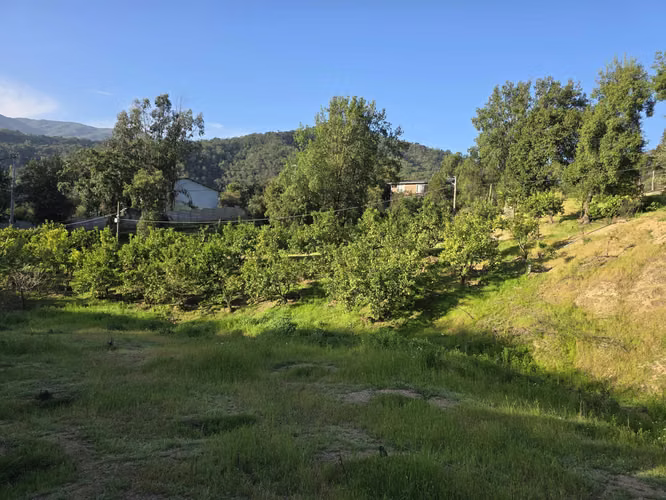 Se venden derechos de parcela en el sector Los Coligues