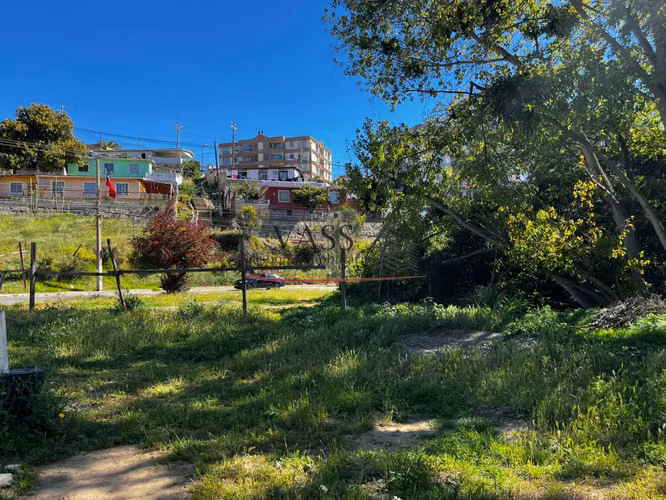 VASS vende terreno de 2.585 m² en Agua Santa, Viña del Mar
