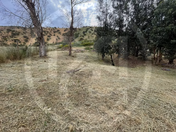 Parcela premium con luz – 5.000 m²Eqv (122513)
