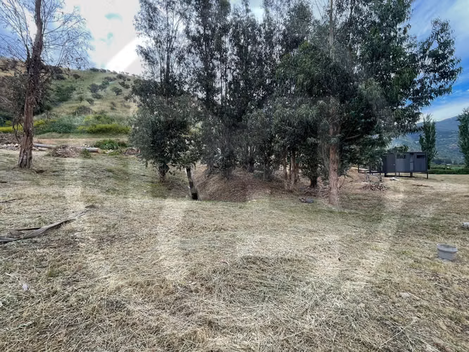 Parcela premium con luz – 5.000 m²Eqv (122513)