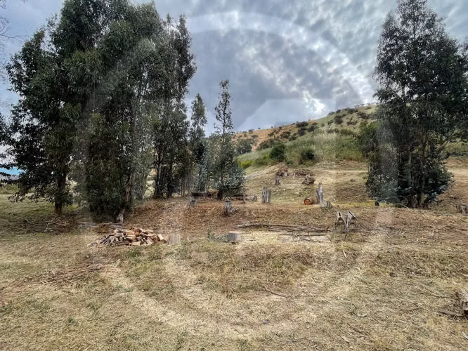 Parcela premium con luz – 5.000 m²Eqv (122513)