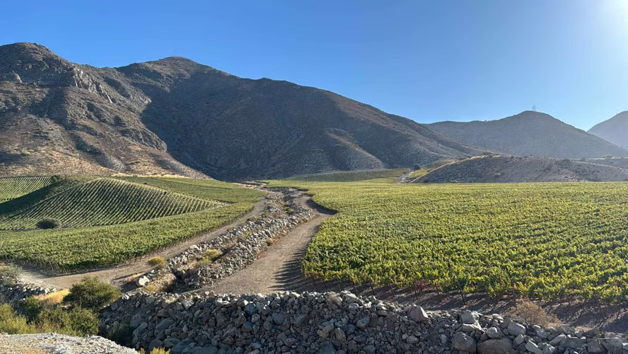 VENDO PARCELA EN VALLE DEL ACONCAGUA (122535)