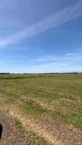 Parcelas Cam a Cato km 15 sector Capilla Cox  (117947) - Imagen 10