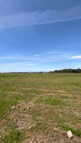 Parcelas Cam a Cato km 15 sector Capilla Cox  (117947) - Imagen 13