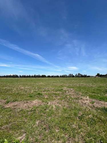 Parcelas Cam a Cato km 15 sector Capilla Cox  (117947) - Imagen 25