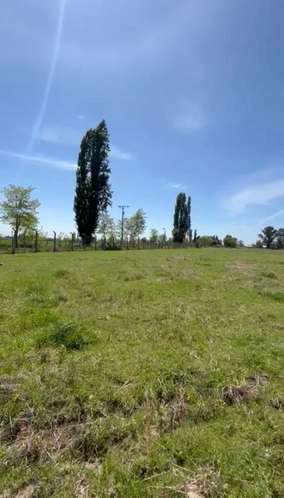 Parcelas Cam a Cato km 15 sector Capilla Cox  (117947) - Imagen 26