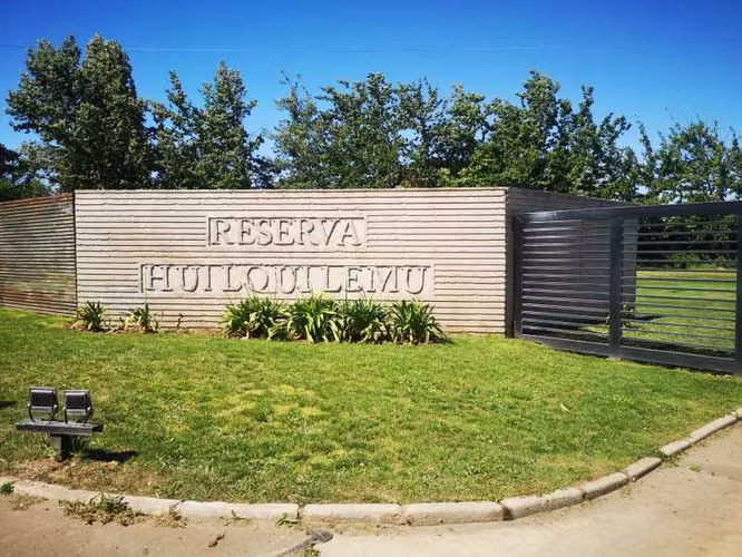 Parcela en Reserva Huilquilemu, Talca (122951) - Imagen 5