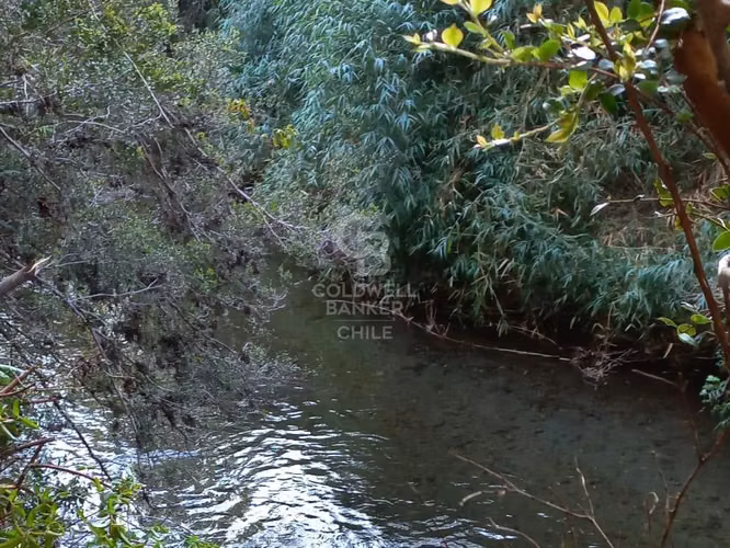 Se Vende Campo en Ralún - Imagen 4