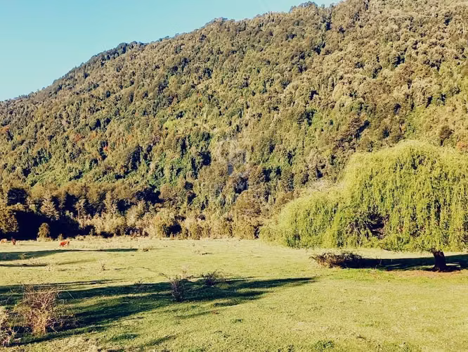 Se Vende Campo en Ralún - Imagen 2