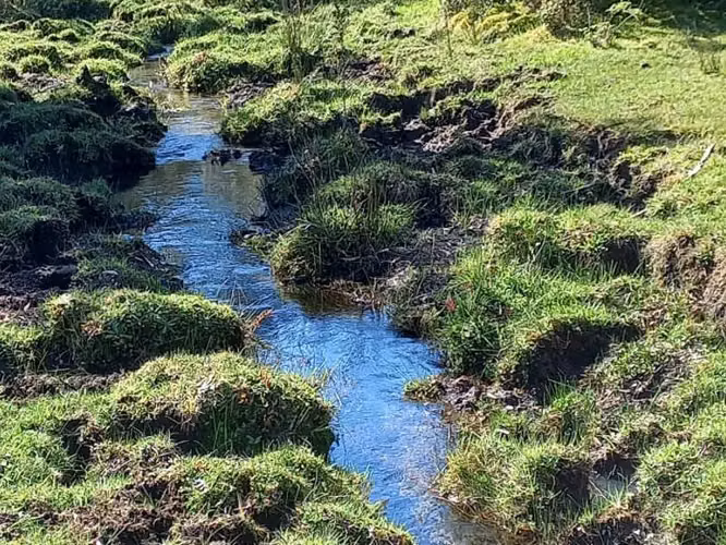 Se Vende Campo en Ralún - Imagen 5
