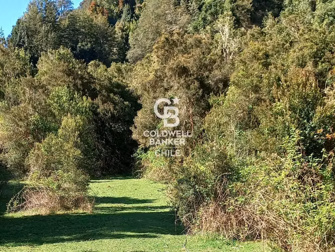 Se Vende Campo en Ralún - Imagen 6