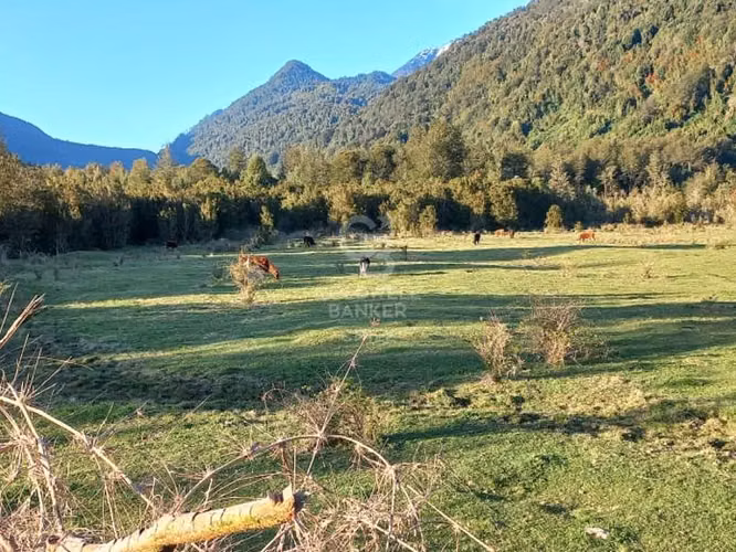 Se Vende Campo en Ralún
