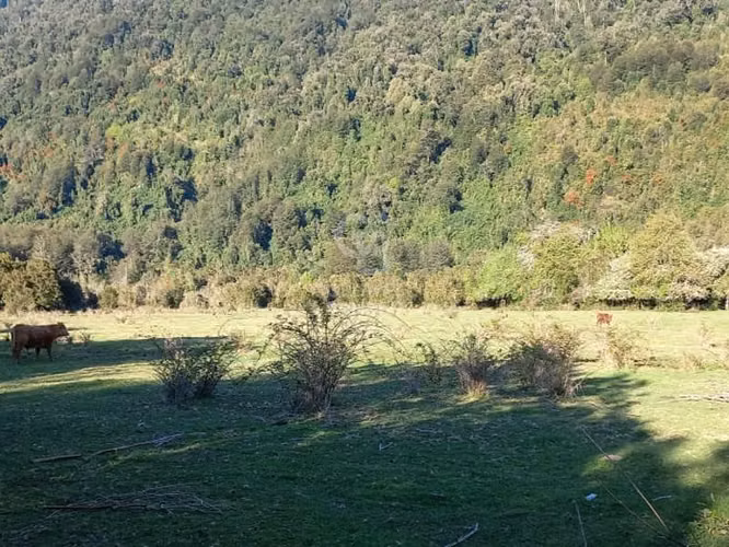 Se Vende Campo en Ralún - Imagen 7