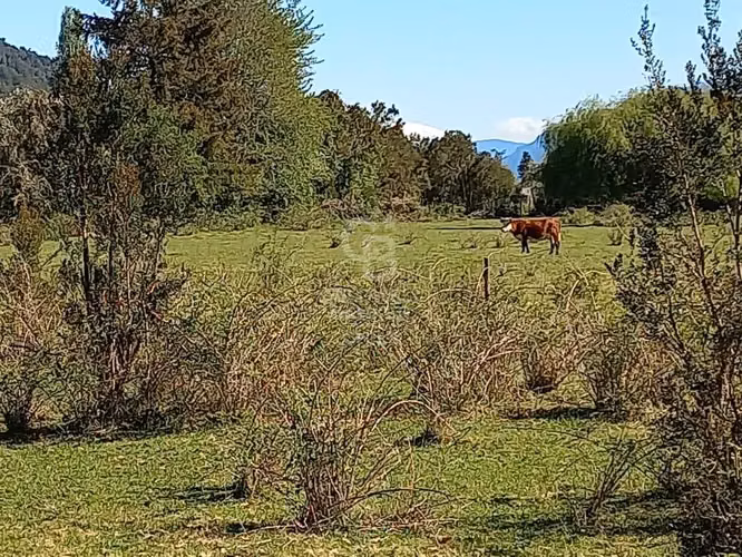 Se Vende Campo en Ralún - Imagen 3