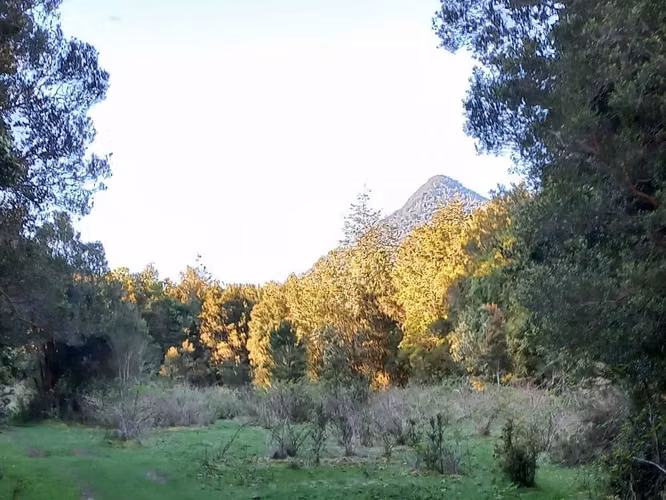 Se Vende Campo en Ralún - Imagen 11