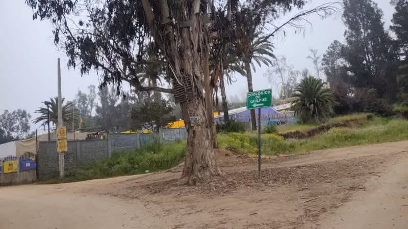 VENDO AMPLIO TERRENO EN QUILPUE