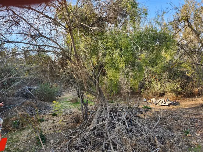 Terreno Aviador Acevedo, Quilpué - Imagen 4