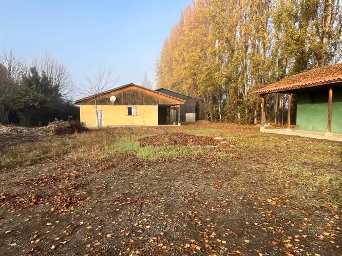 BODEGA Tuniche, Rancagua